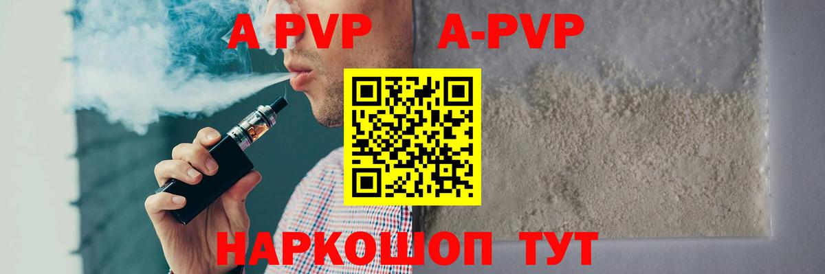 A PVP СК КРИС Саранск