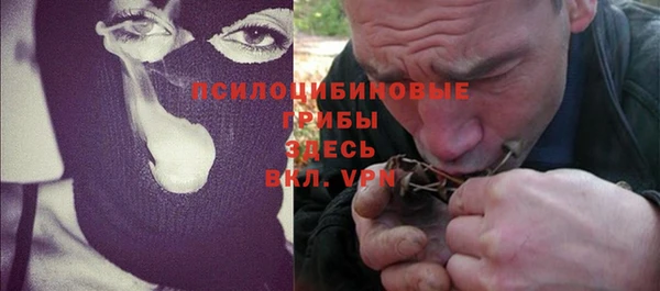 СК Михайлов