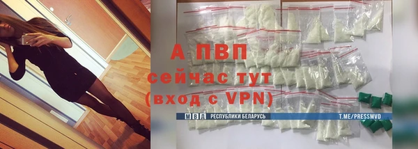 хмурый Михайловск