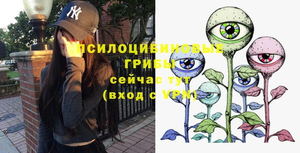 СК Михайлов