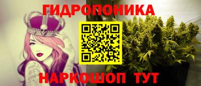 молекула духа Донецк