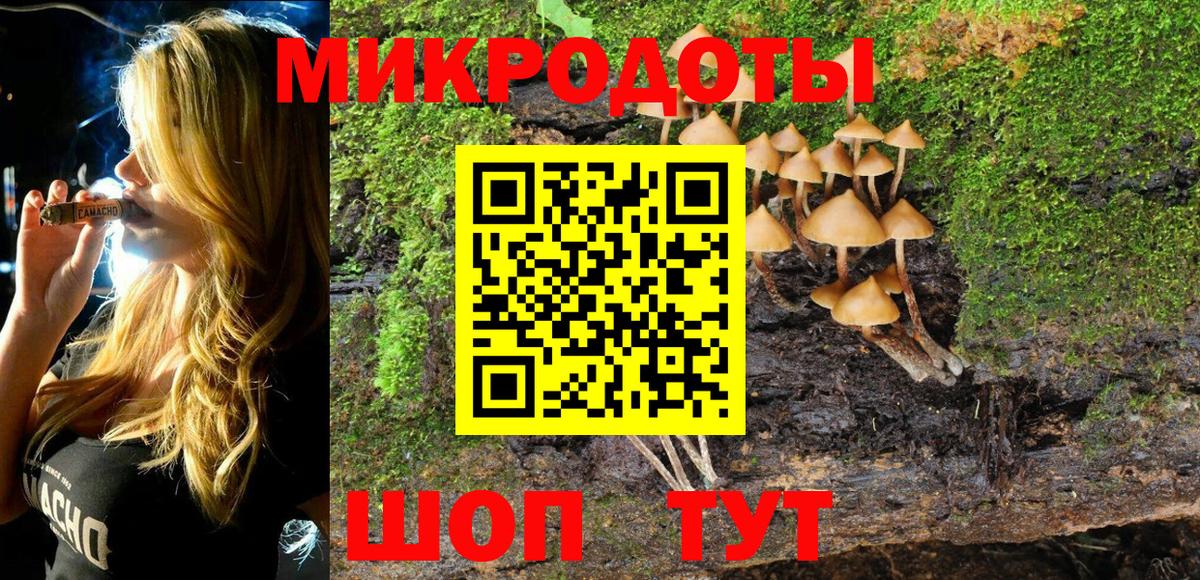 Галлюциногенные грибы Psilocybine cubensis Саранск