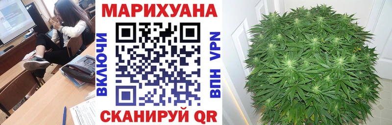 Марихуана марихуана  Саранск 